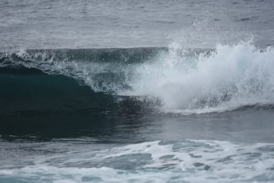 DSC_0830.JPG