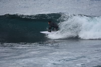 DSC_0831.JPG