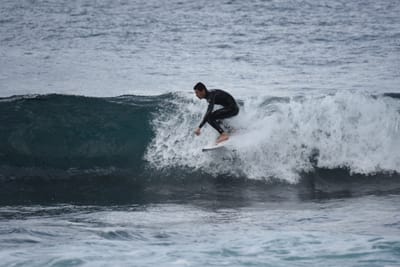 DSC_0833.JPG