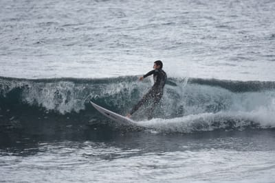 DSC_0846.JPG