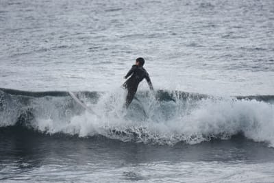 DSC_0847.JPG