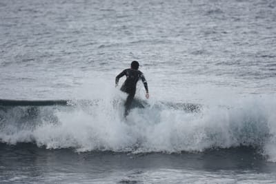 DSC_0848.JPG