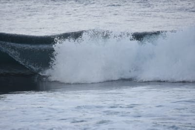 DSC_0851.JPG