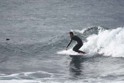 DSC_0865.JPG