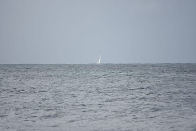 DSC_0886.JPG