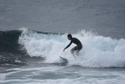 DSC_0892.JPG