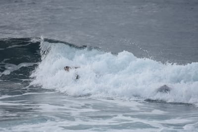 DSC_0893.JPG