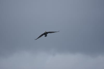 DSC_0894.JPG