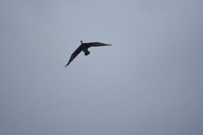 DSC_0895.JPG