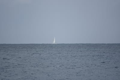 DSC_0898.JPG