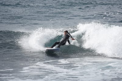 DSC_0905.JPG