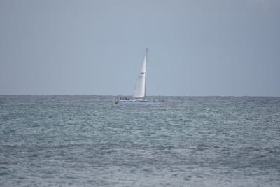 DSC_0907.JPG