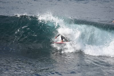 DSC_0911.JPG