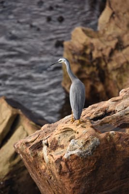 DSC_0915.JPG