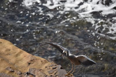 DSC_0916.JPG