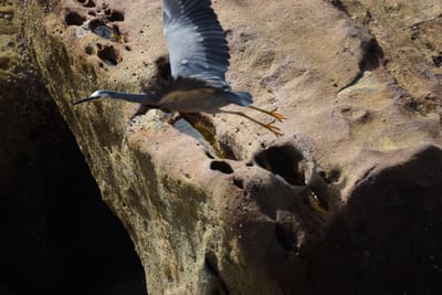 DSC_0921.JPG