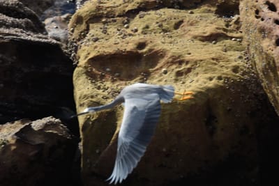 DSC_0923.JPG
