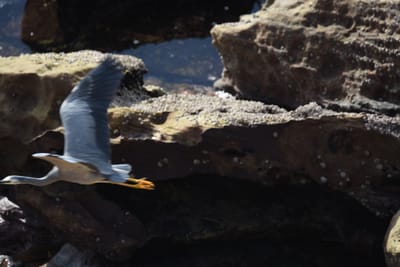 DSC_0925.JPG