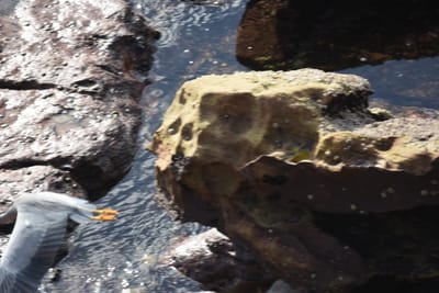 DSC_0926.JPG