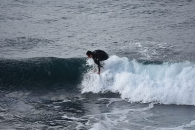 DSC_0930.JPG
