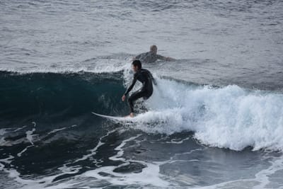 DSC_0933.JPG