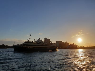 20181125_190846.jpg