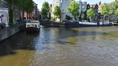 DSC_4036.MOV