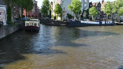 DSC_4037.MOV