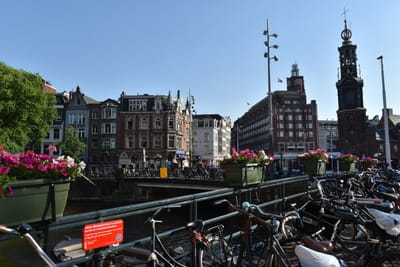 DSC_4051.JPG