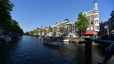 DSC_4059.MOV