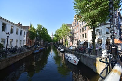 DSC_4060.JPG