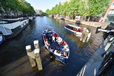 DSC_4061.JPG