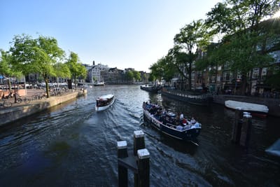 DSC_4062.JPG