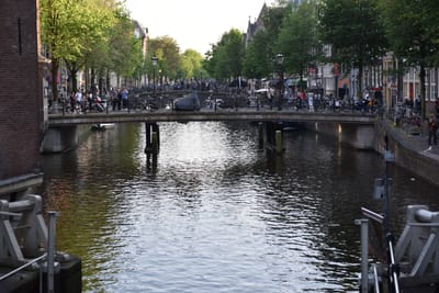 DSC_4090.JPG