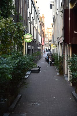 DSC_4099.JPG