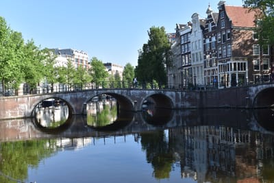 DSC_4102.JPG