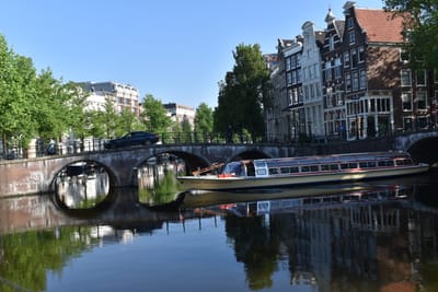 DSC_4103.JPG