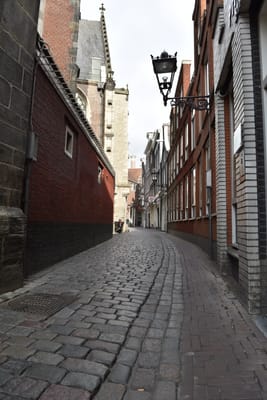 DSC_4107.JPG