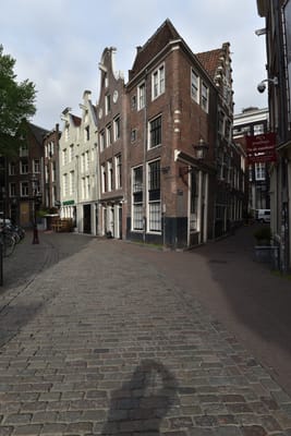 DSC_4110.JPG