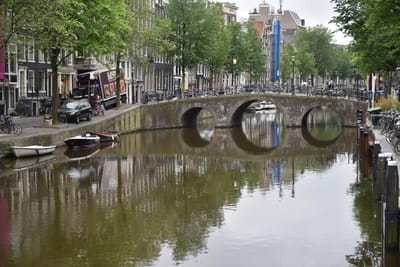 DSC_4317.JPG