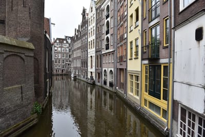 DSC_4319.JPG