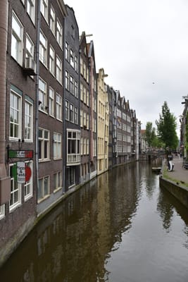 DSC_4320.JPG