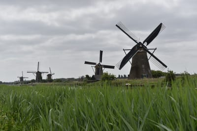 DSC_4114.JPG