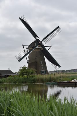 DSC_4116.JPG