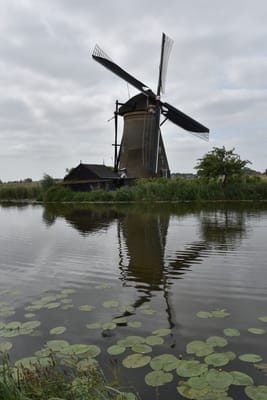 DSC_4117.JPG