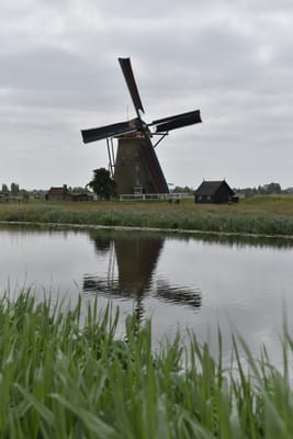 DSC_4118.JPG