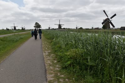 DSC_4119.JPG