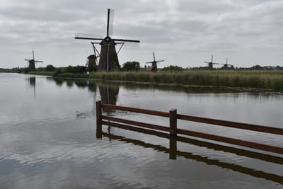 DSC_4122.JPG