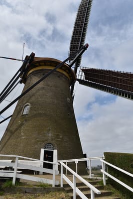 DSC_4126.JPG