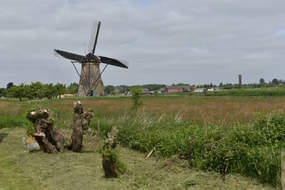 DSC_4131.JPG